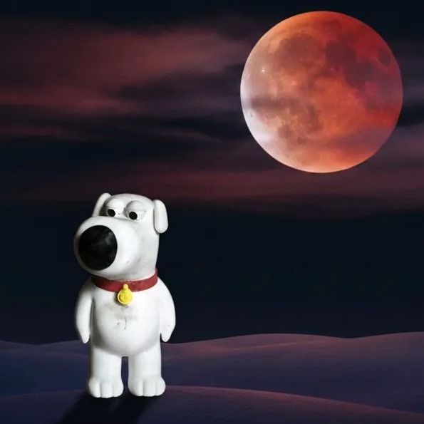 فیگور برایان گریفین Brian Griffin - Family Guy - تصویر 2